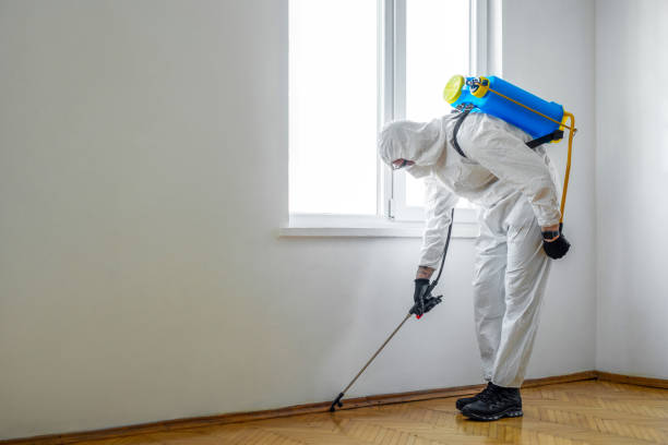 Best Residential Pest Control  in Fort Mckinley, OH